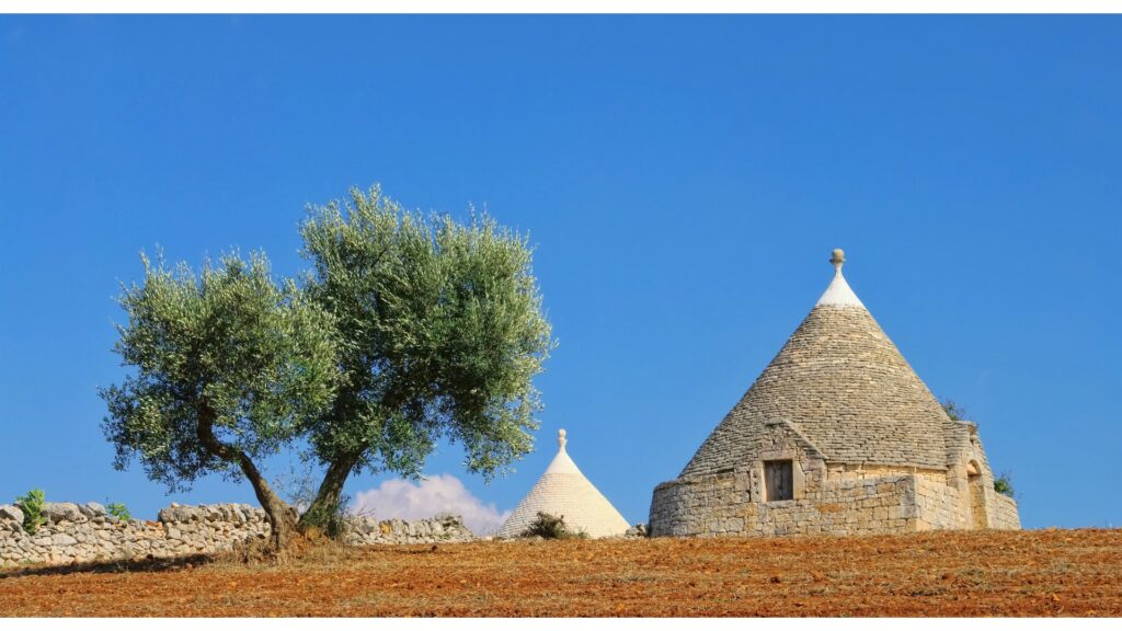 trullo e ulivo in puglia